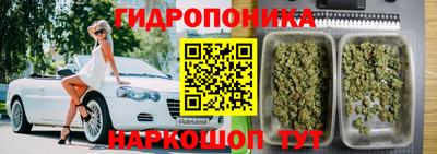 дмт Пугачёв
