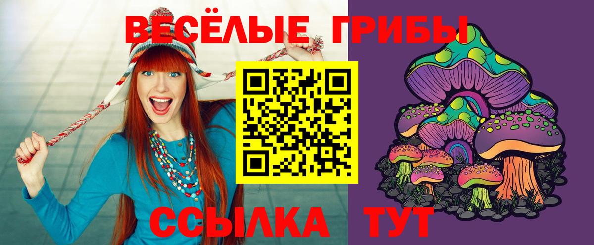 Псилоцибиновые грибы ЛСД Рыбинск